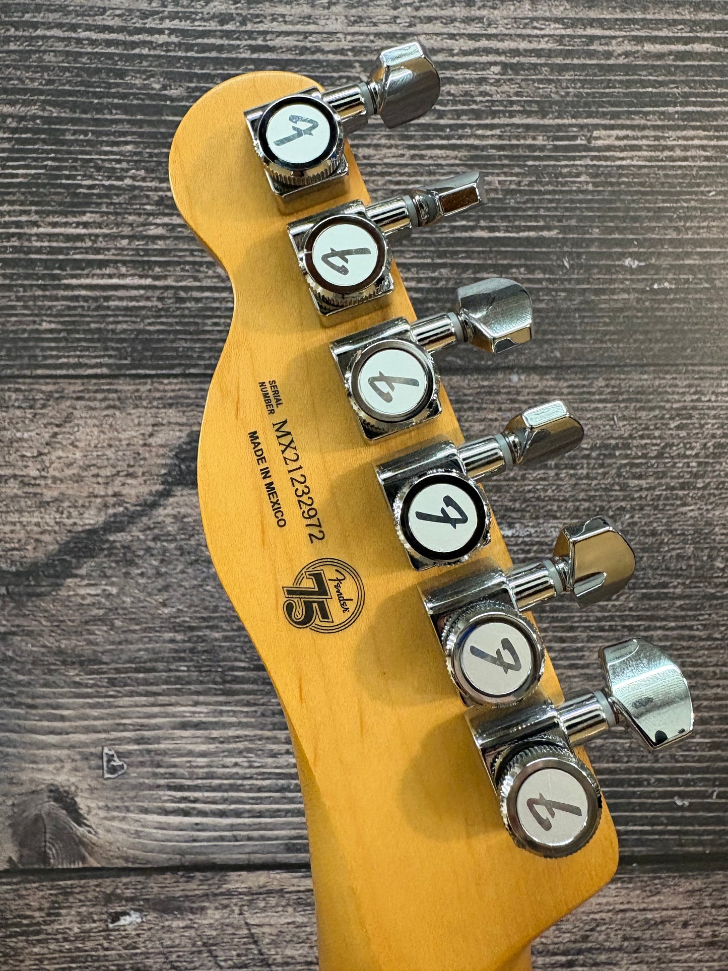 Fender Player Plus Telecaster Silver Smoke