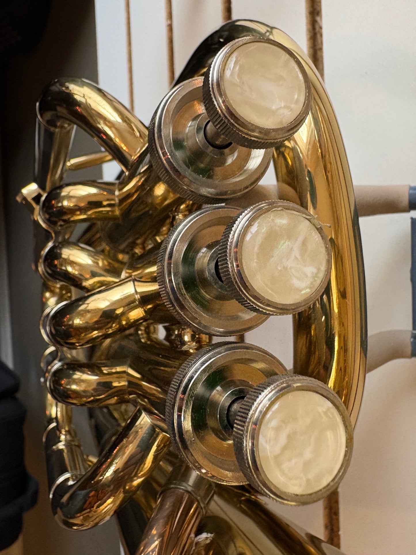 Roy Benson BH-301 Baritone