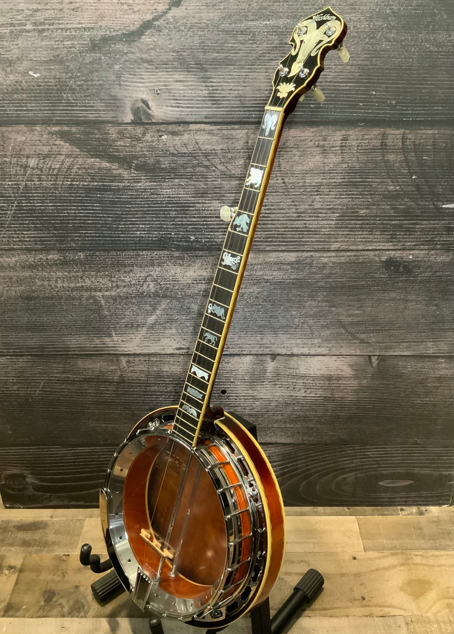 Washburn 5 String Banjo (used, very good condition)