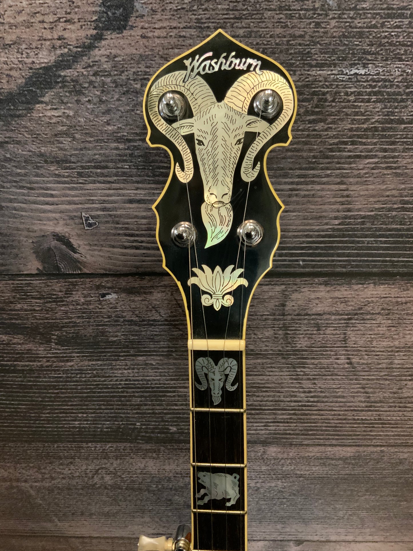 Washburn 5 String Banjo (used, very good condition)