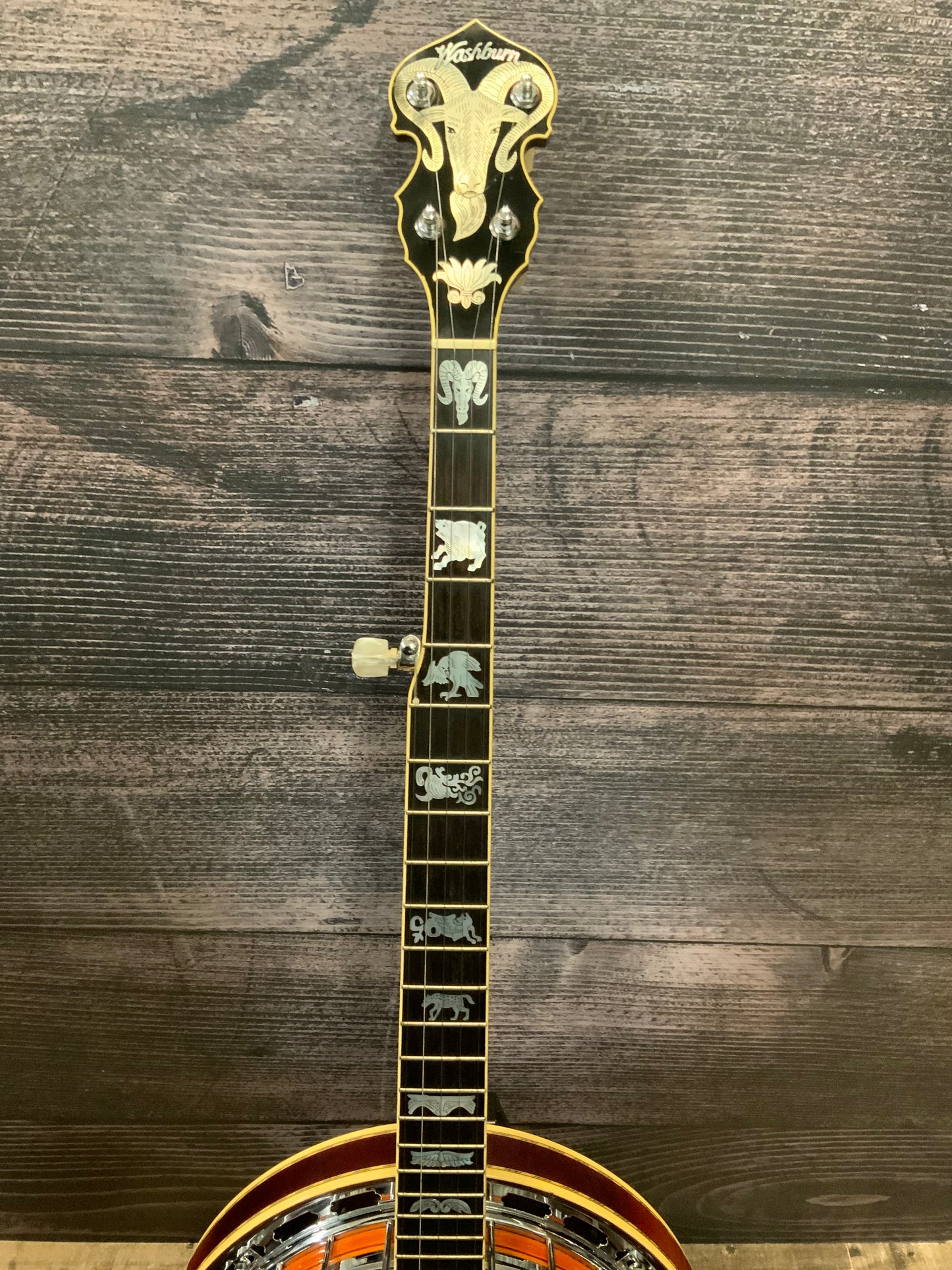 Washburn 5 String Banjo (used, very good condition)