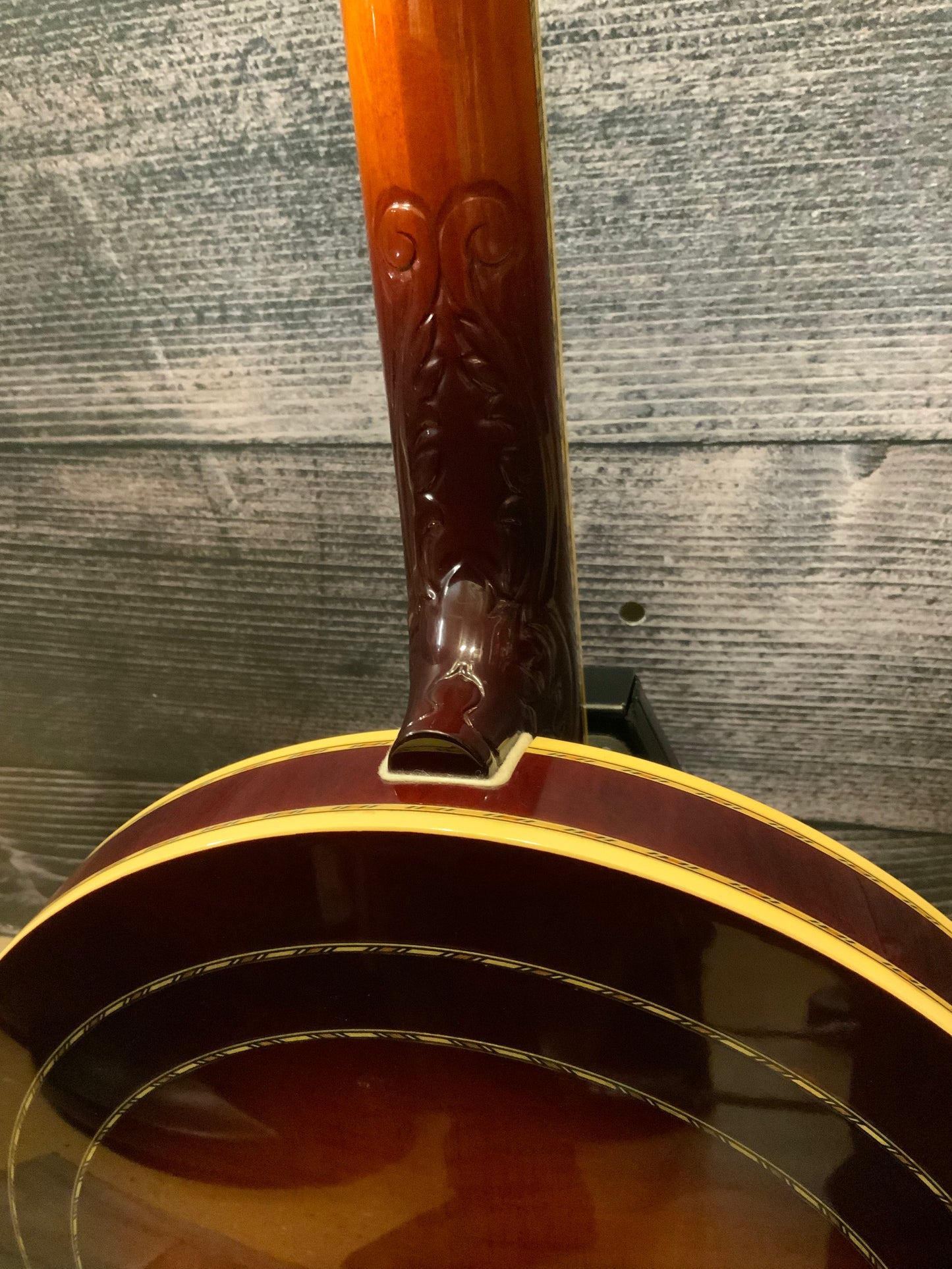 Washburn 5 String Banjo (used, very good condition)