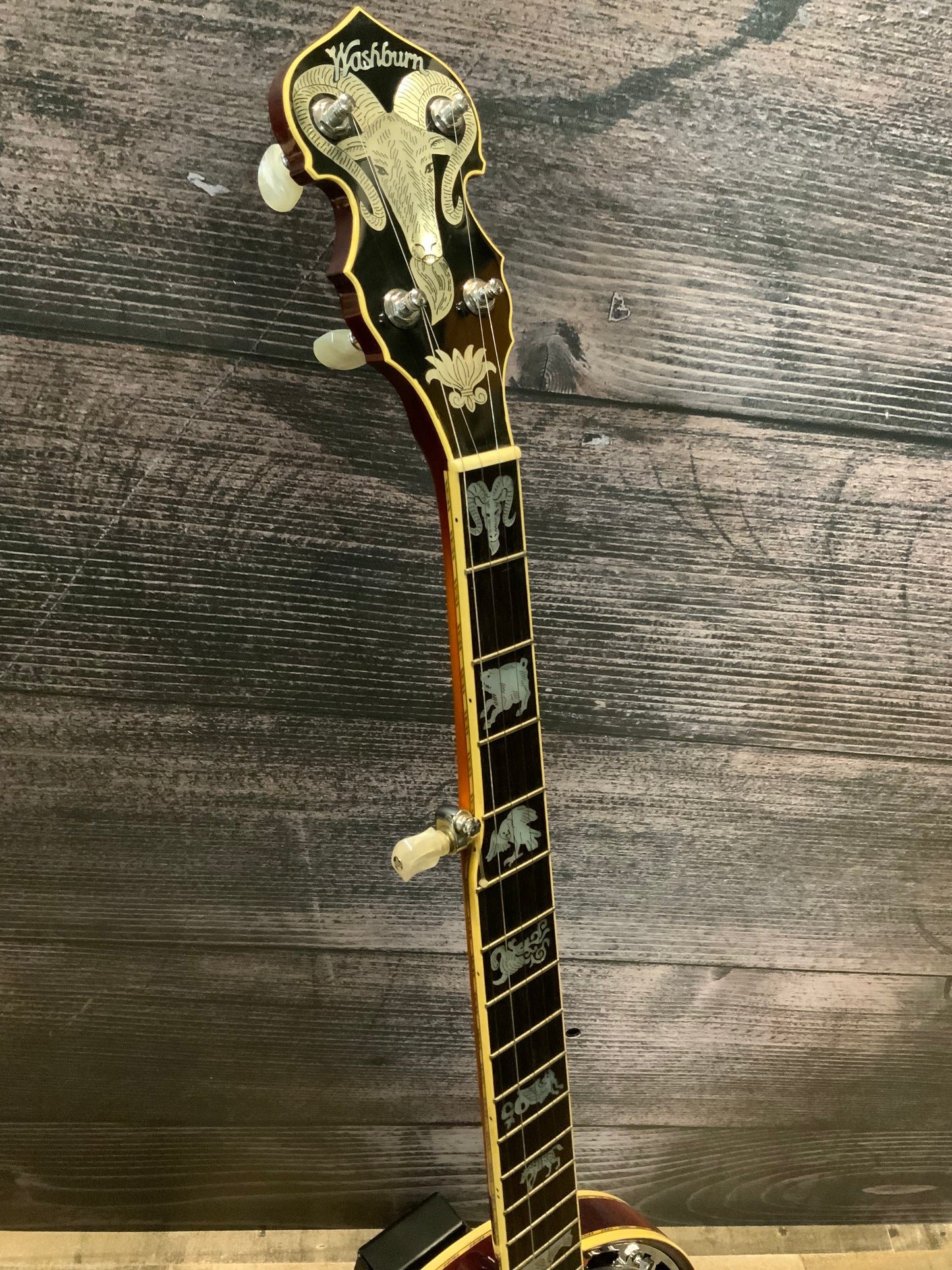 Washburn 5 String Banjo (used, very good condition)