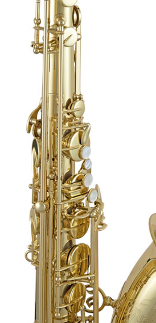 Selmer STS711 Professional Bb Tenor Saxophone