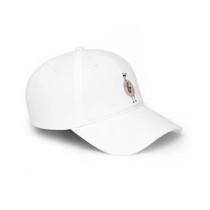 Low Profile Baseball Cap