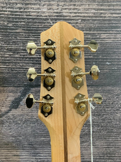 Gruhn Versitar AM9470 ADI/EIR Acoustic/Electric Guitar