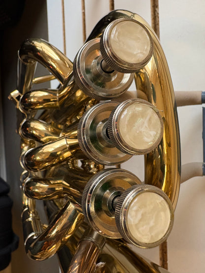 Roy Benson BH-301 Baritone