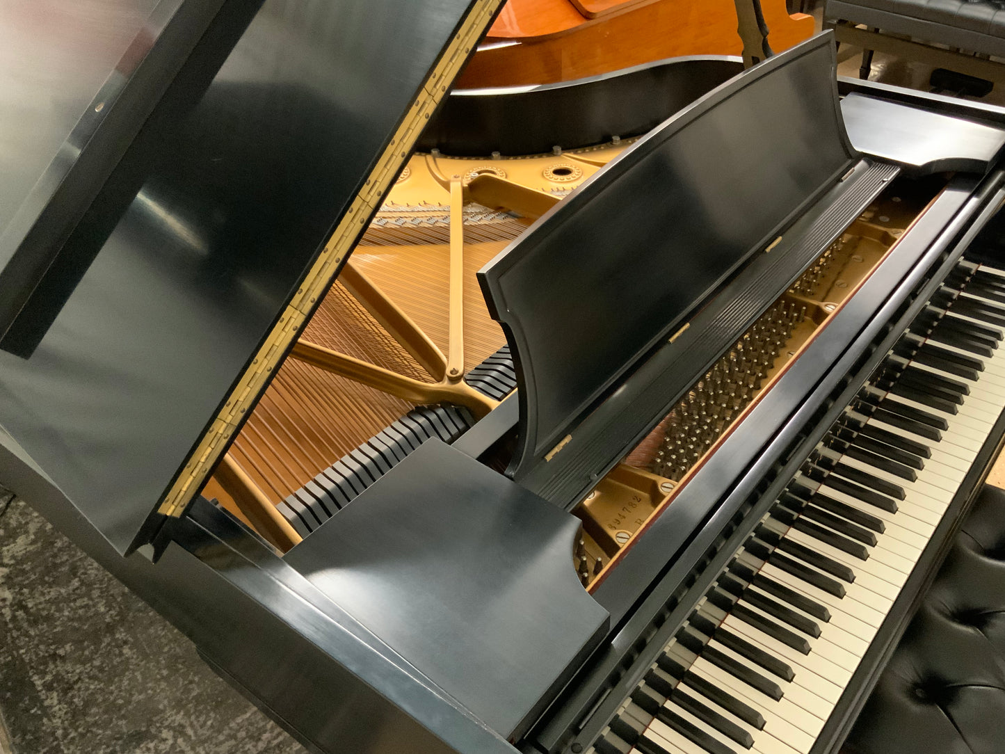 Steinway Model B Ebony Grand Piano - 1966