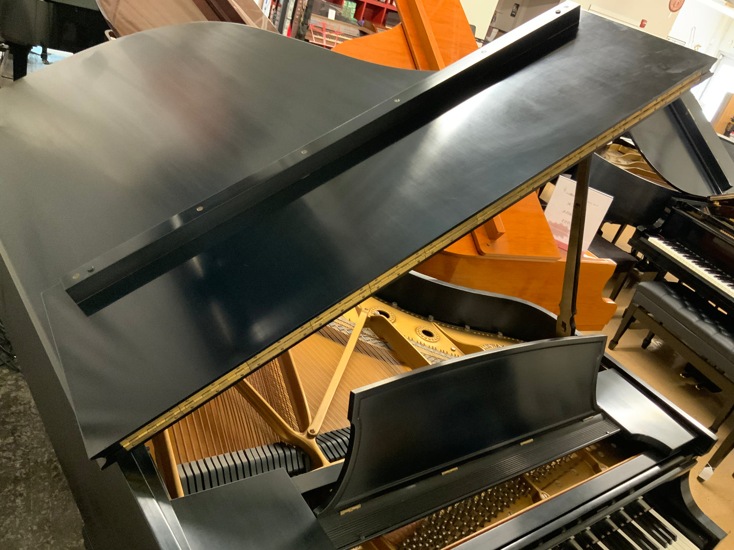 Steinway Model B Ebony Grand Piano - 1966