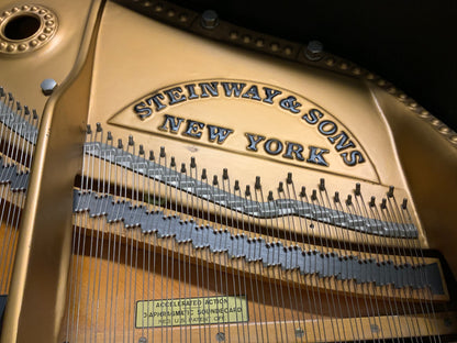 Steinway Model B Ebony Grand Piano - 1966