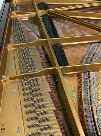 Steinway Model B Ebony Grand Piano - 1966