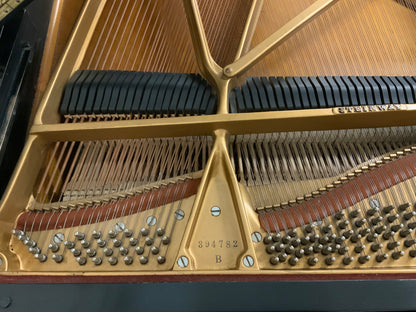 Steinway Model B Ebony Grand Piano - 1966