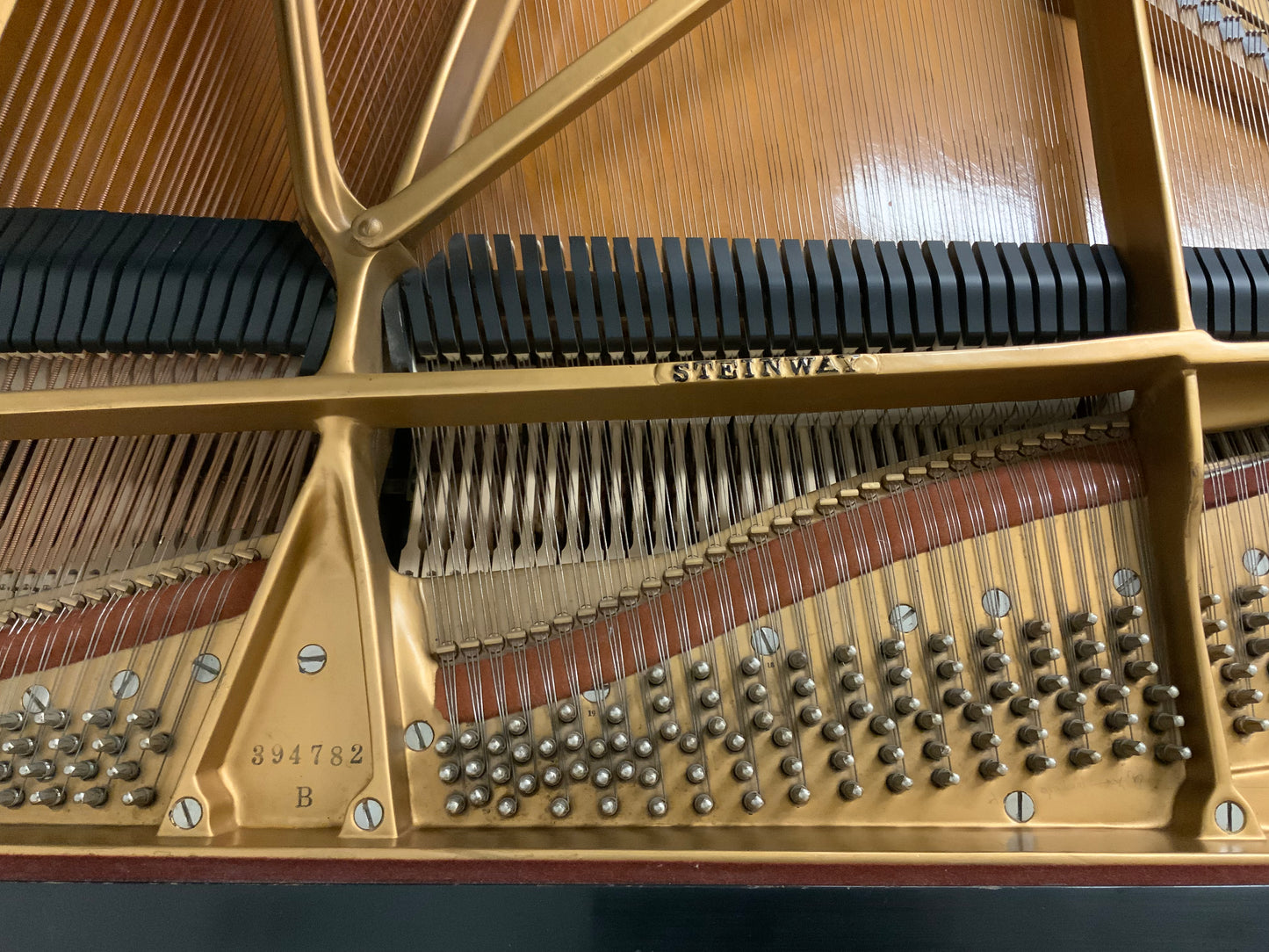 Steinway Model B Ebony Grand Piano - 1966