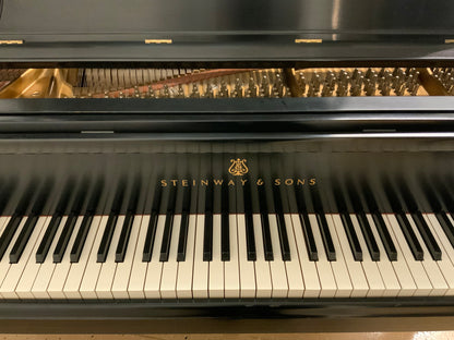 Steinway Model B Ebony Grand Piano - 1966