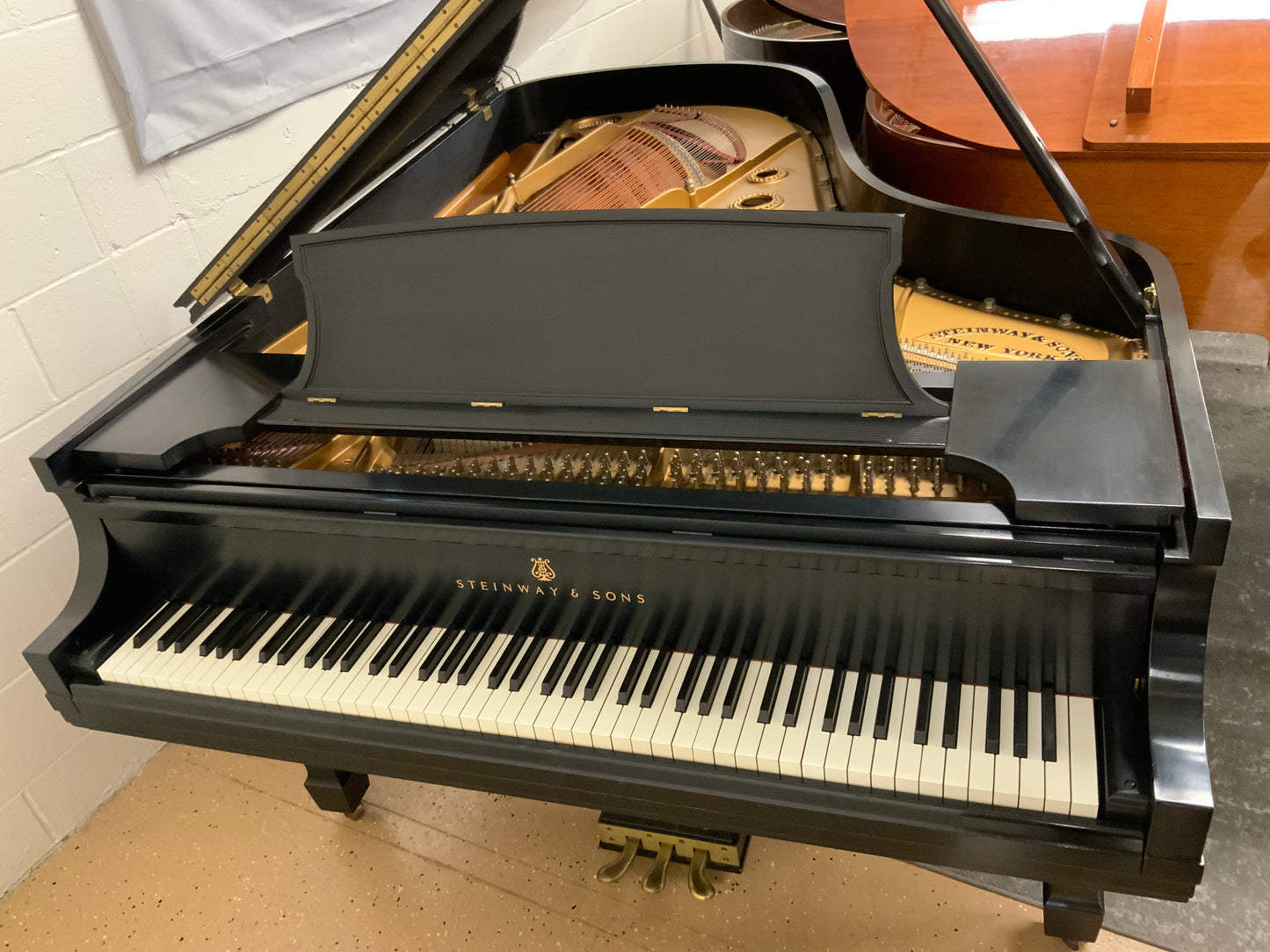 Steinway Model B Ebony Grand Piano - 1966