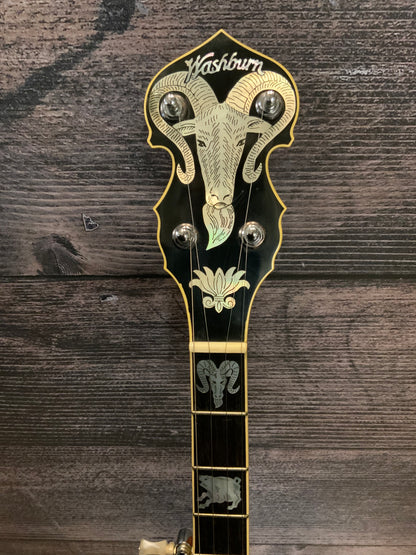 Washburn 5 String Banjo (used, very good condition)