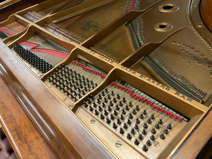 Mason & Hamlin AA Grand Piano - 1906