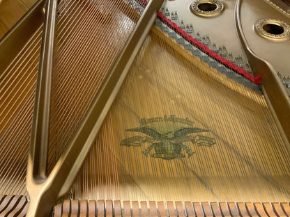 Mason & Hamlin AA Grand Piano - 1906