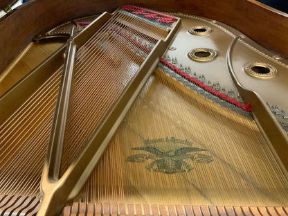 Mason & Hamlin AA Grand Piano - 1906