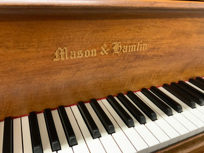 Mason & Hamlin AA Grand Piano - 1906