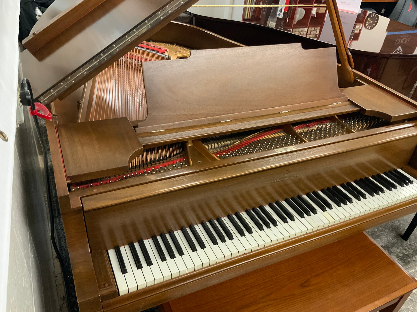Steinway Model M 5’ 7” Grand Piano - 1923