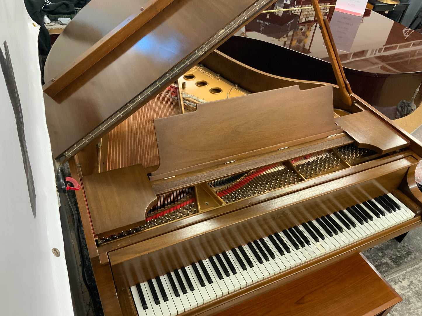 Steinway Model M 5’ 7” Grand Piano - 1923