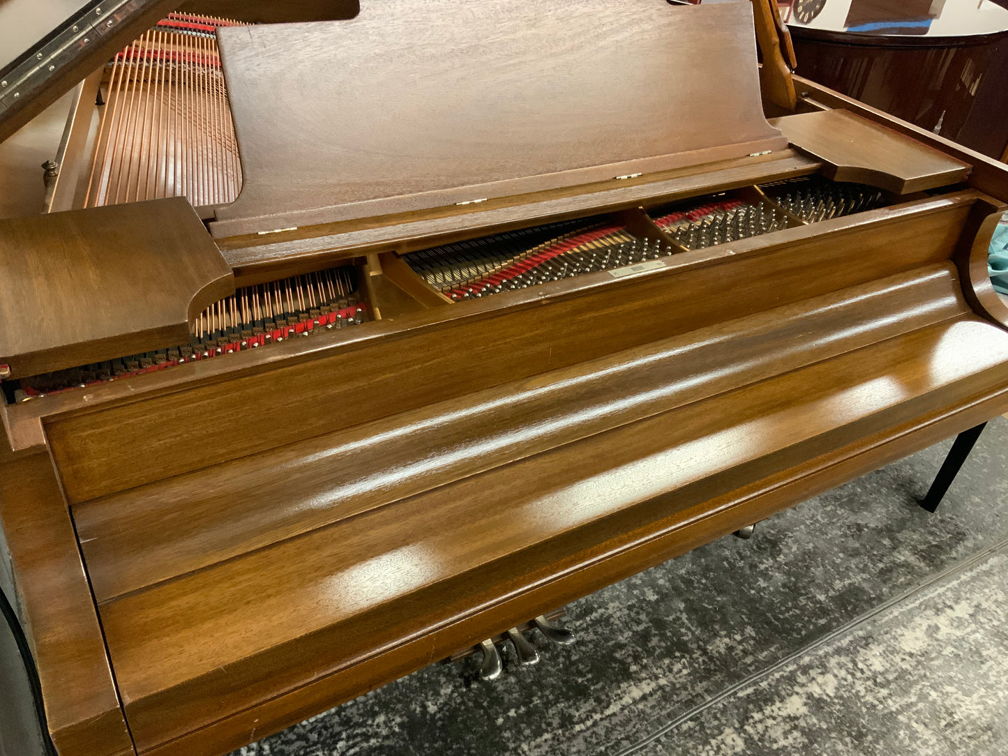 Steinway Model M 5’ 7” Grand Piano - 1923