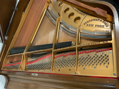 Steinway Model M 5’ 7” Grand Piano - 1923