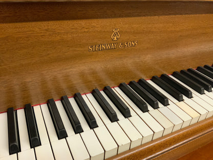 Steinway Model M 5’ 7” Grand Piano - 1923