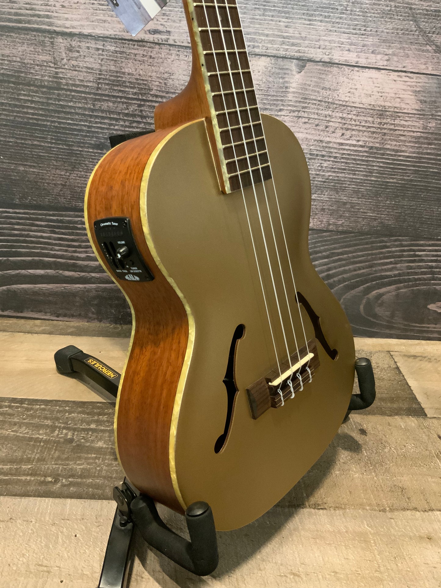 Kala Kalamazoo Gold Archtop Tenor Ukulele w/EQ KA-JTE-KZGD