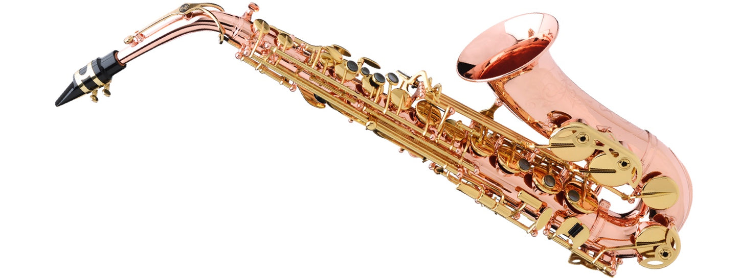Buffet Crampon SENZO Series Alto Saxophone BC2525