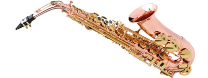Buffet Crampon SENZO Series Alto Saxophone BC2525