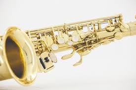 B.A.C. BAC-TS-500 "Apprentice Select" Tenor Saxophone