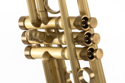 Phaeton "Las Vegas" Bb Custom Trumpet