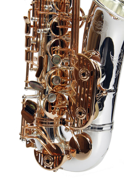Sax Dakota SDA-XG-404 Alto Saxophone