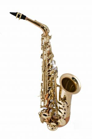 Selmer SAS511 (former SAS411) Eb Alto Saxophone