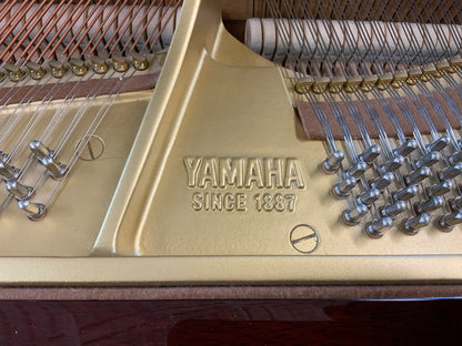 Yamaha GH1 5’ 3” Grand Piano